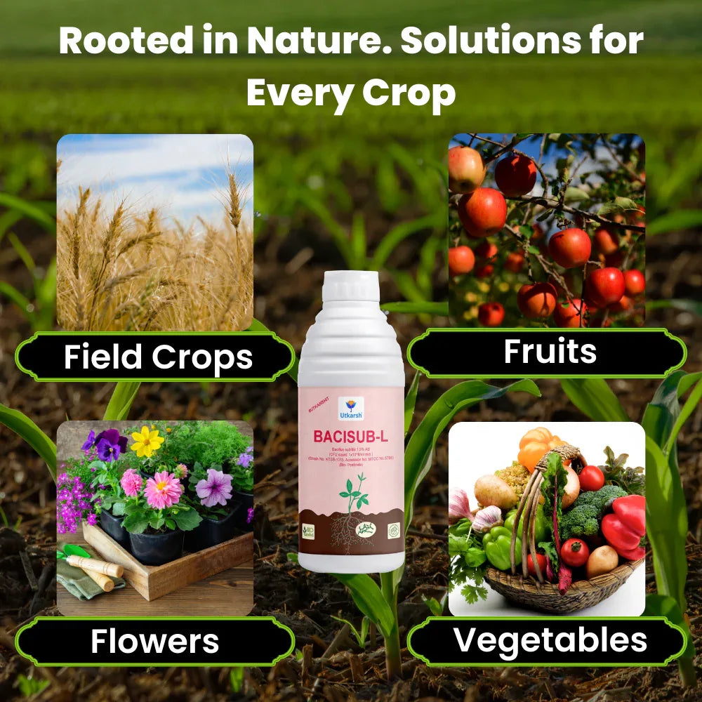 Bacillus Subtilis - Liquid Bio Fungicides for Plants, Home Garden, Crops and Nursey | BaciSub-L - Utkarsh Agrochem Pvt ltd. 