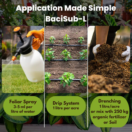 Bacillus Subtilis - Liquid Bio Fungicides for Plants, Home Garden, Crops and Nursey | BaciSub-L - Utkarsh Agrochem Pvt ltd. 