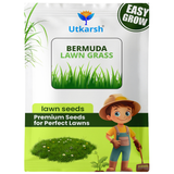 Utkarsh Hybrid Mexican Bermuda Lawn Grass Seeds - 50 gm | 96% Germination Rate | All-Season Carpet Grass for Dense, Lush Green Lawns | Low Maintenance for Home Gardens, Parks & Farming Use