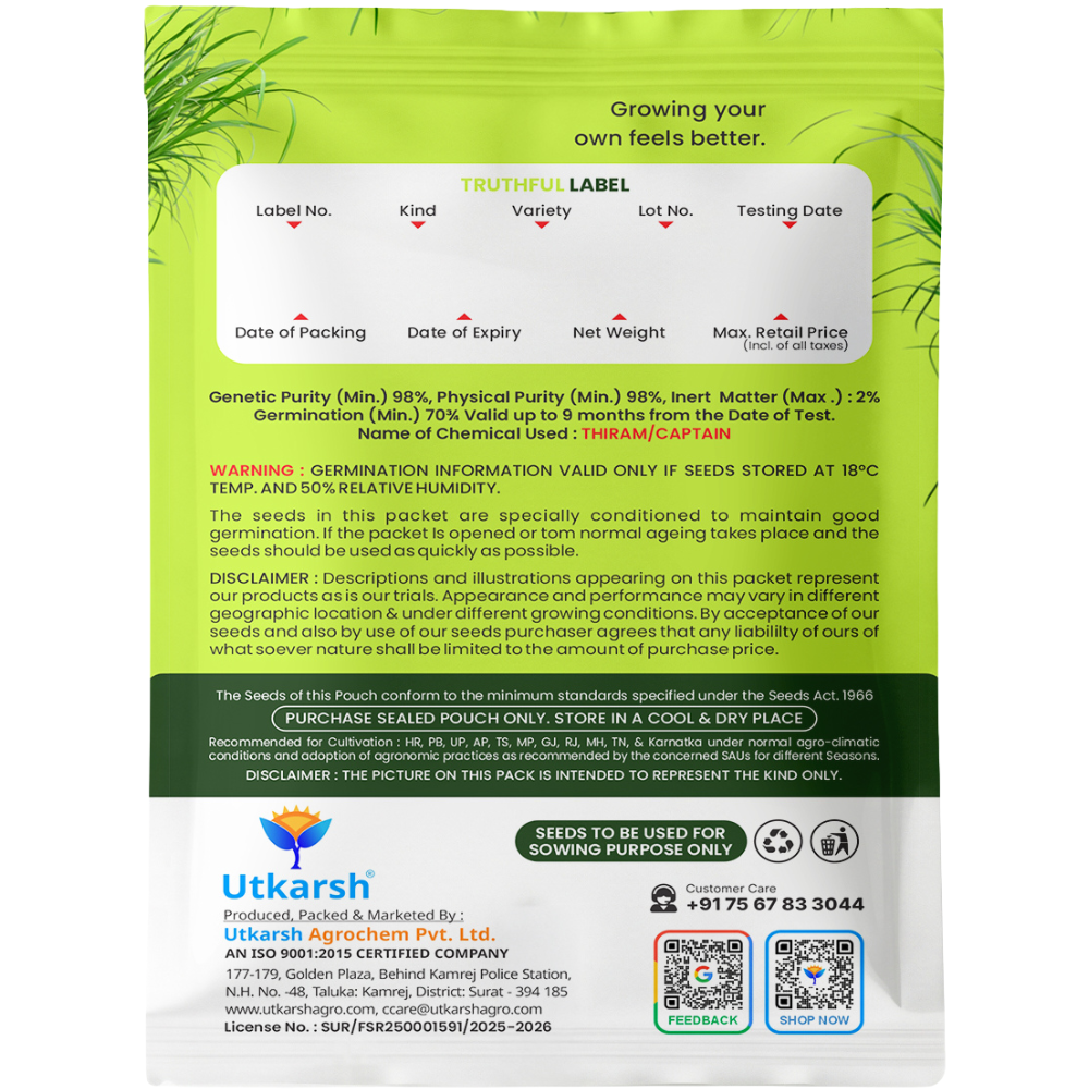 Utkarsh Hybrid Mexican Bermuda Lawn Grass Seeds - 50 gm | 96% Germination Rate | All-Season Carpet Grass for Dense, Lush Green Lawns | Low Maintenance for Home Gardens, Parks & Farming Use