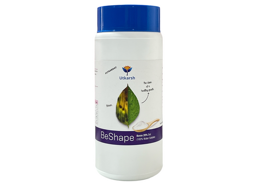 BeShape (Disodium Octaborate Tetrahydrate- Boron 20%, 100% Water Soluble Foliar Spray EDTA Chelated Fertilizers) Reduces Fruit Cracking, Enhances Fruit & Seed Development, Synthesis of Protein & Carbohydrate in Plants