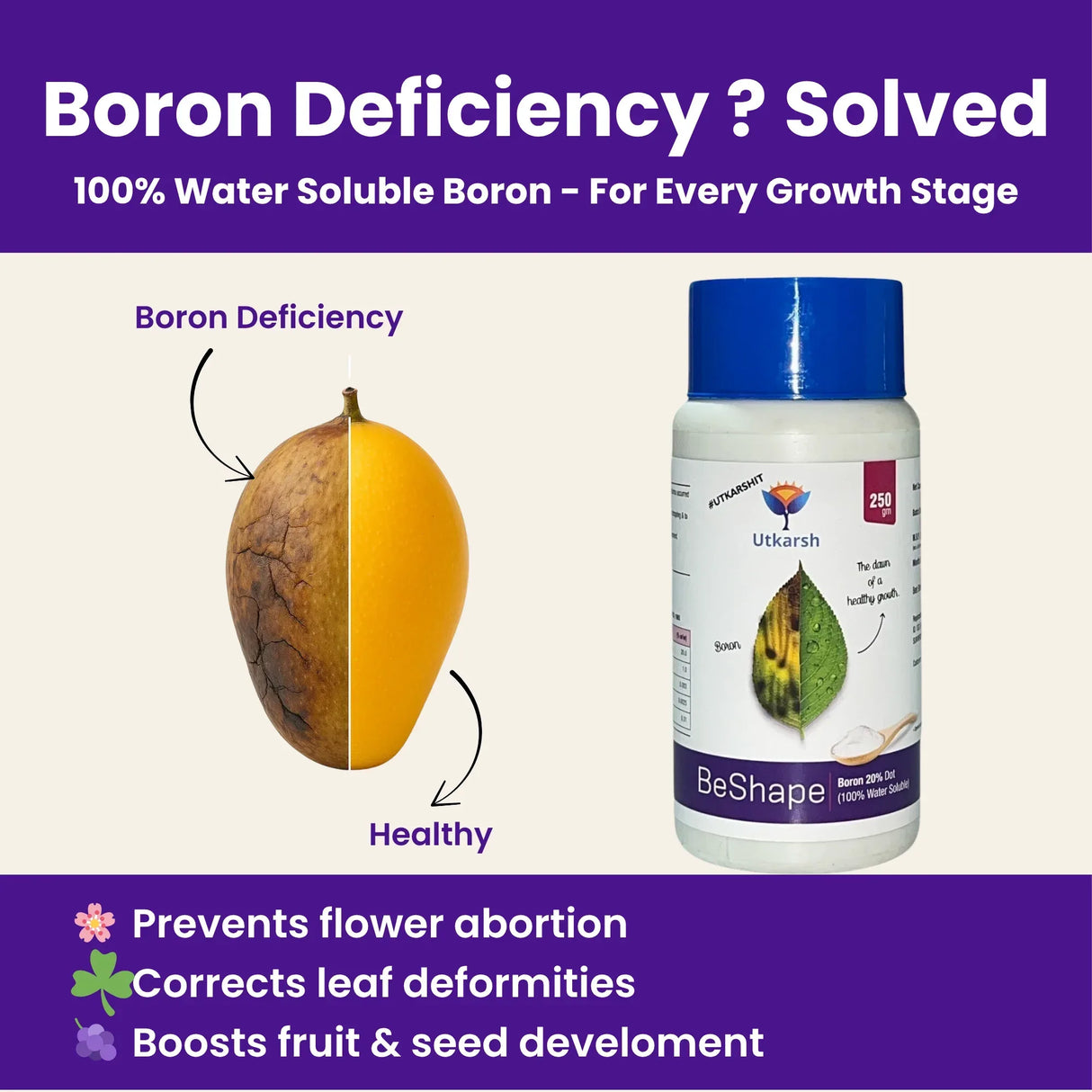 Disodium Octaborate Tetrahydrate - Boron 20%, 100% Water Soluble Foliar Spray EDTA Chelated Fertilizers for Plants, Reduces Fruit Cracking | BeShape - Utkarsh Agrochem Pvt ltd. 