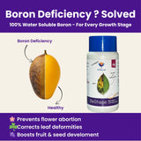 Disodium Octaborate Tetrahydrate - Boron 20%, 100% Water Soluble Foliar Spray EDTA Chelated Fertilizers for Plants, Reduces Fruit Cracking | BeShape - Utkarsh Agrochem Pvt ltd. 