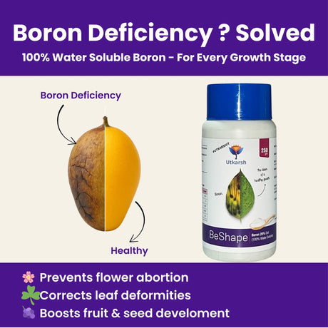 Disodium Octaborate Tetrahydrate - Boron 20%, 100% Water Soluble Foliar Spray EDTA Chelated Fertilizers for Plants, Reduces Fruit Cracking | BeShape - Utkarsh Agrochem Pvt ltd. 
