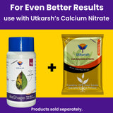 Boron 20% Micronutrient Fertilizer for Plants – Boosts Vegetable, Fruit & Flower Growth | 100% Water Soluble Boron EDTA Chelated Powder for Healthy Garden Plants | (Disodium Octaborate Tetrahydrate) BeShape