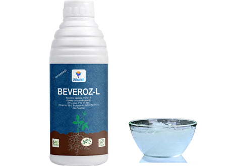 Beauveria Bassiana 1 x 10^8 CFU/ml min. | Western Flower Thrips, Liquid Bio Pesticides for Plants, Home Garden | Beveroz-L - Utkarsh Agrochem Pvt ltd. 