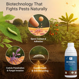 Beauveria Bassiana 1 x 10^8 CFU/ml min. | Western Flower Thrips, Liquid Bio Pesticides for Plants, Home Garden | Beveroz-L - Utkarsh Agrochem Pvt ltd. 