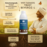 Beauveria Bassiana 1 x 10^8 CFU/ml min. | Western Flower Thrips, Liquid Bio Pesticides for Plants, Home Garden | Beveroz-L - Utkarsh Agrochem Pvt ltd. 