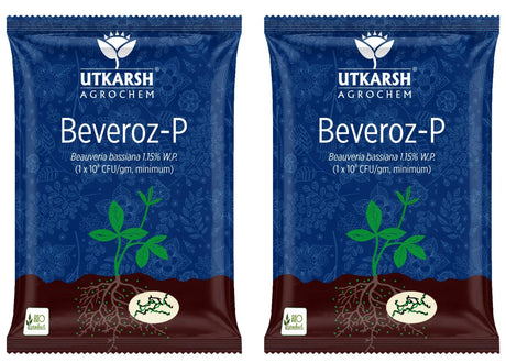 Beauveria Bassiana 1.15% W.P. 1 x 10^8 CFU/gm min. Bio Insecticides for Plants, Crops and Home Gardening - Beveroz-P - Utkarsh Agrochem Pvt ltd. 