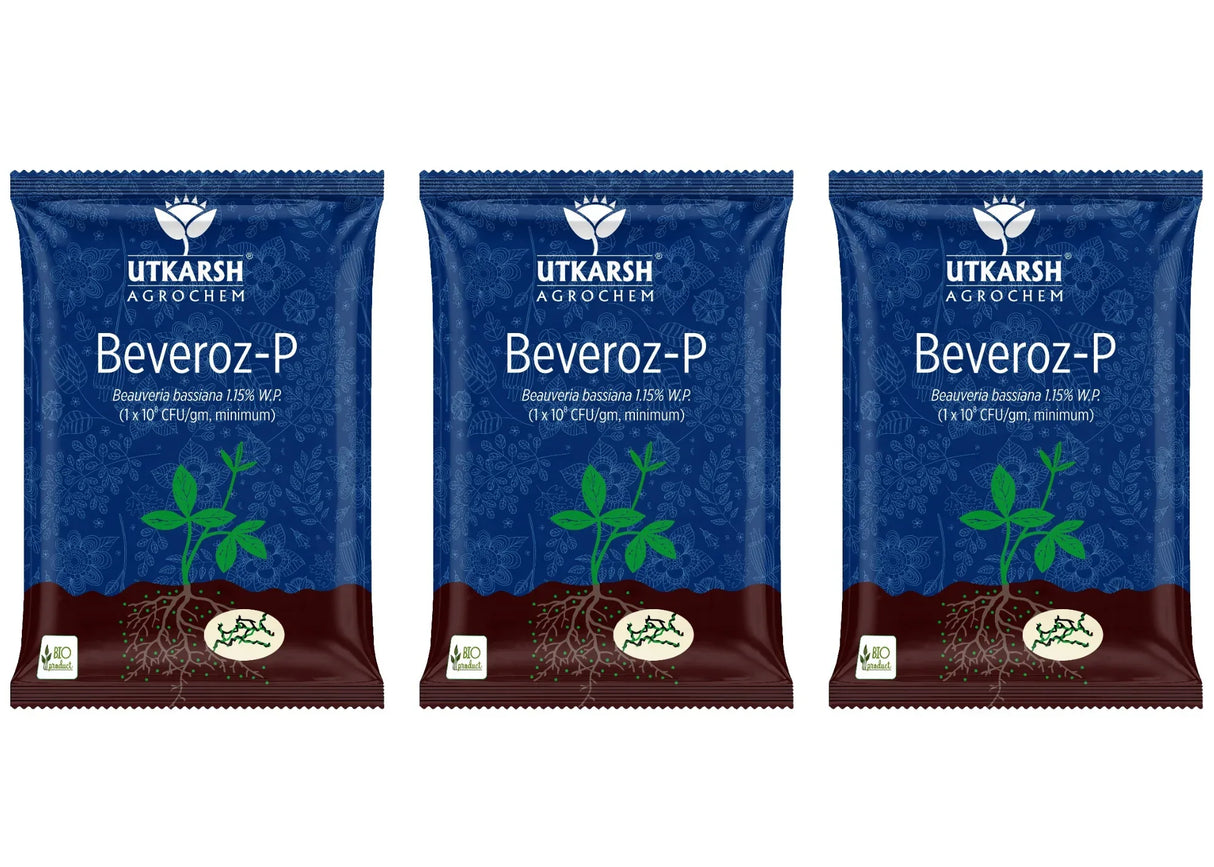 Beauveria Bassiana 1.15% W.P. 1 x 10^8 CFU/gm min. Bio Insecticides for Plants, Crops and Home Gardening - Beveroz-P - Utkarsh Agrochem Pvt ltd. 