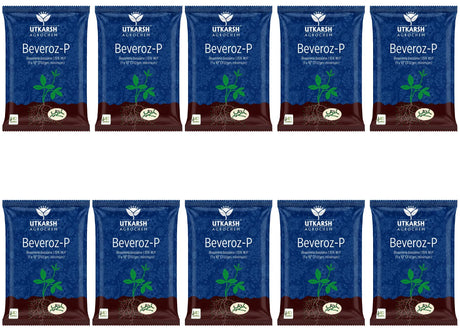 Beauveria Bassiana 1.15% W.P. 1 x 10^8 CFU/gm min. Bio Insecticides for Plants, Crops and Home Gardening - Beveroz-P - Utkarsh Agrochem Pvt ltd. 