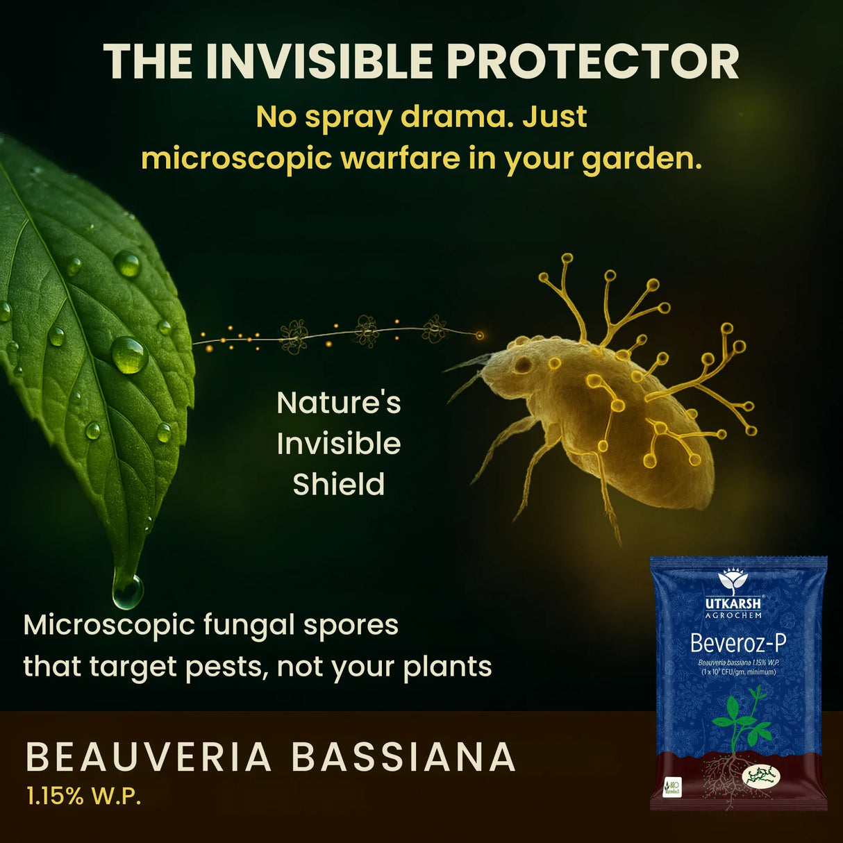 Beauveria Bassiana 1.15% W.P. 1 x 10^8 CFU/gm min. Bio Insecticides for Plants, Crops and Home Gardening - Beveroz-P - Utkarsh Agrochem Pvt ltd. 