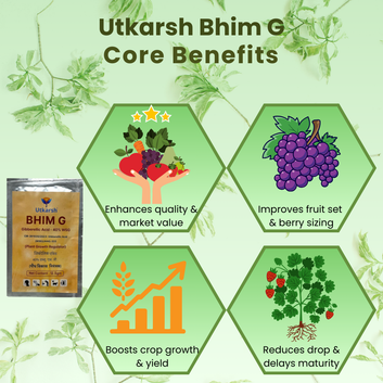 Bhim G (Gibberellic acid 40% WSG) | Plant Growth Regulator