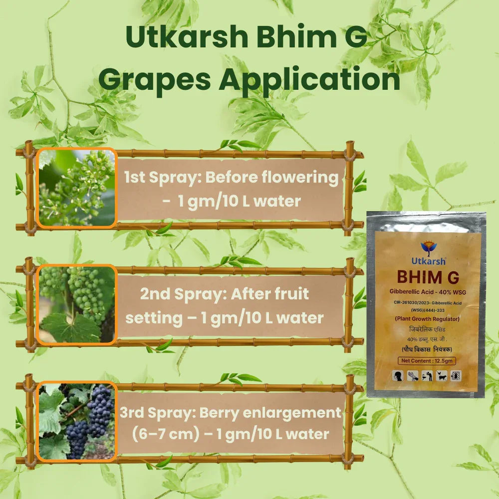 Bhim G (Gibberellic acid 40% WSG) | Plant Growth Regulator - Utkarsh Agrochem Pvt ltd. 