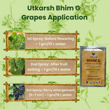 Bhim G (Gibberellic acid 40% WSG) | Plant Growth Regulator - Utkarsh Agrochem Pvt ltd. 