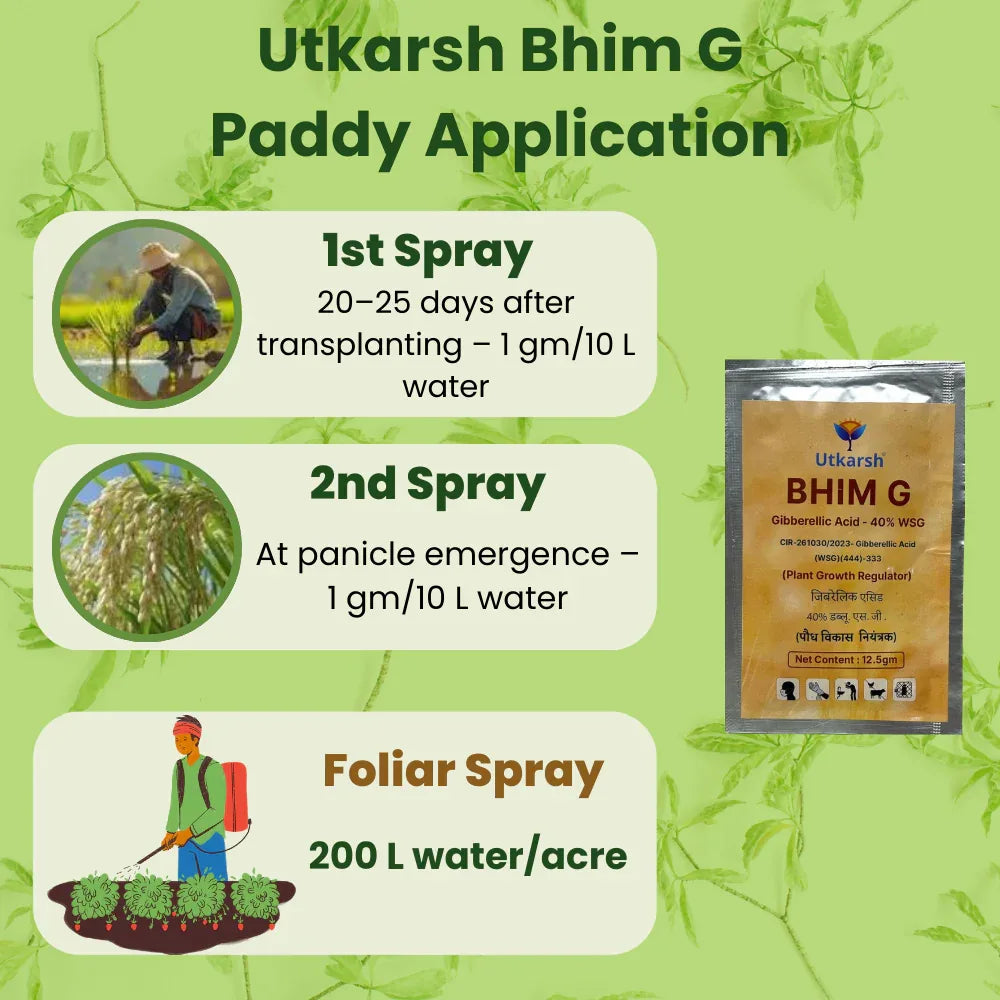 Bhim G (Gibberellic acid 40% WSG) | Plant Growth Regulator - Utkarsh Agrochem Pvt ltd. 