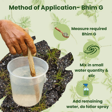 Bhim G (Gibberellic acid 40% WSG) | Plant Growth Regulator - Utkarsh Agrochem Pvt ltd. 