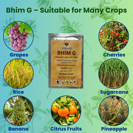 Bhim G (Gibberellic acid 40% WSG) | Plant Growth Regulator - Utkarsh Agrochem Pvt ltd. 