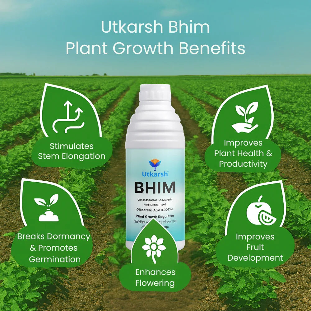 Bhim (Gibberellic Acid 0.001% L) | Plant Growth Regulator - Utkarsh Agrochem Pvt ltd. 