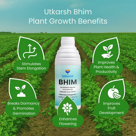 Bhim (Gibberellic Acid 0.001% L) | Plant Growth Regulator - Utkarsh Agrochem Pvt ltd. 