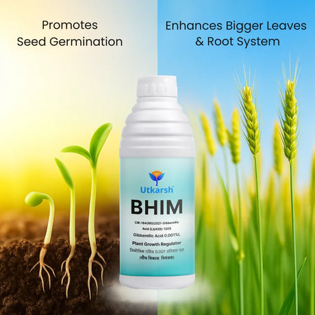 Bhim (Gibberellic Acid 0.001% L) | Plant Growth Regulator - Utkarsh Agrochem Pvt ltd. 