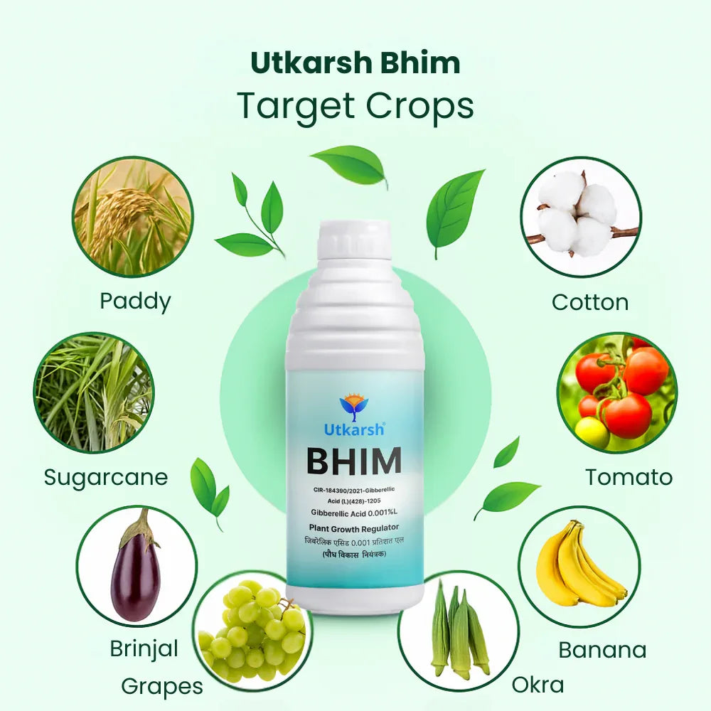 Bhim (Gibberellic Acid 0.001% L) | Plant Growth Regulator - Utkarsh Agrochem Pvt ltd. 