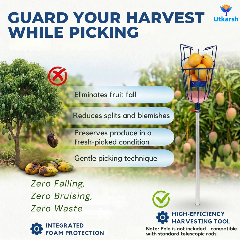 Big Fruit Picker Basket- 1 PC