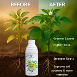 Black Pearl – L (Biologically Activated Humic Acid 12%) Biostimulant- 20 Liter - Utkarsh Agrochem Pvt ltd. 