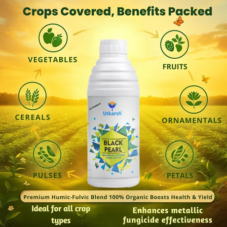 Black Pearl – L (Biologically Activated Humic Acid 12%) Biostimulant- 20 Liter - Utkarsh Agrochem Pvt ltd. 