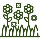 Garden Plants