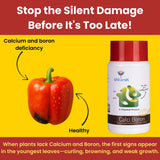 Calci Boron - EDTA Chelated Calcium & Boron Mix (100 % Water Soluble Chemical for Foliar Spray) - Utkarsh Agrochem Pvt ltd. 