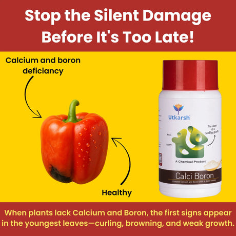 Calci Boron - EDTA Chelated Calcium & Boron Mix (100 % Water Soluble Chemical for Foliar Spray) - Utkarsh Agrochem Pvt ltd. 
