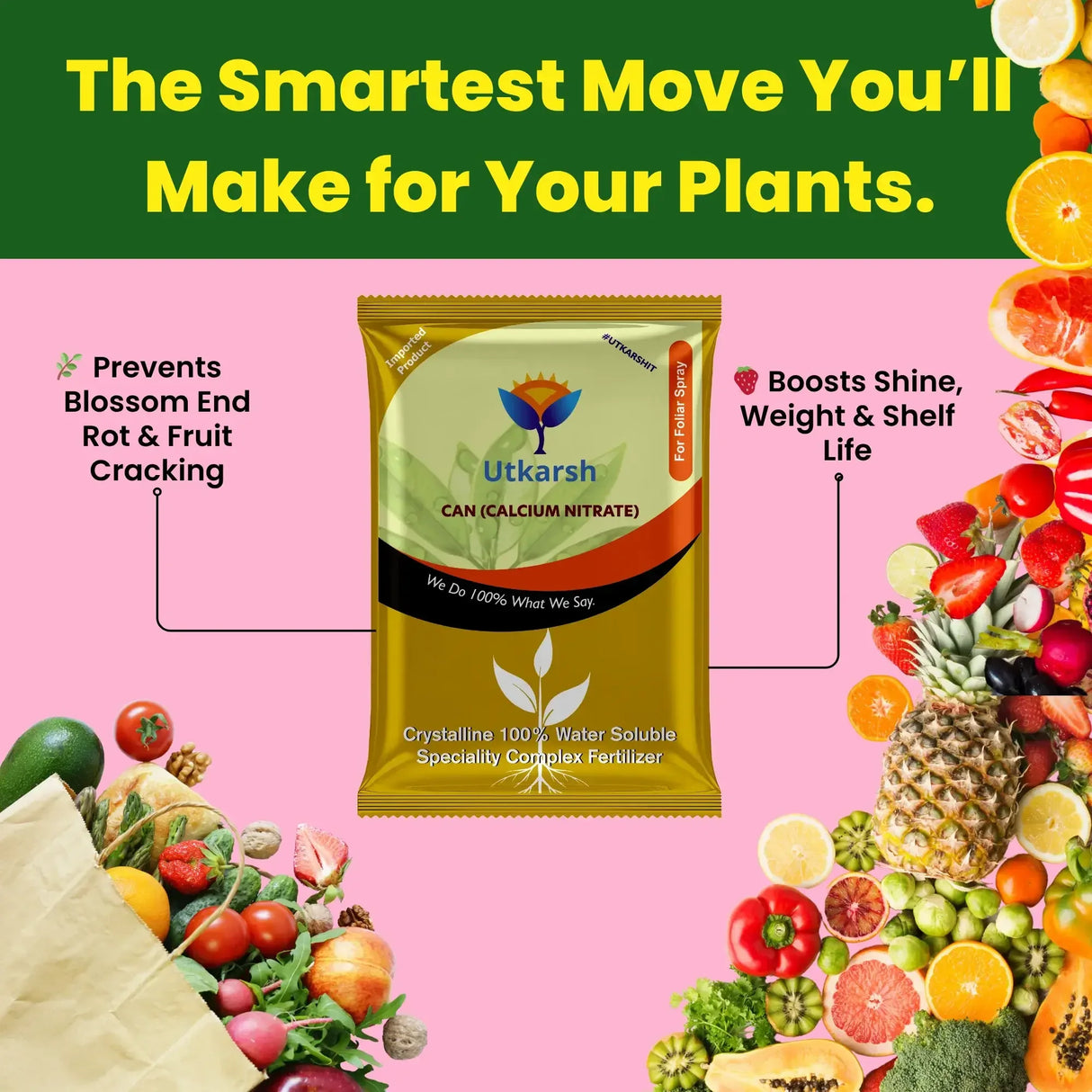 Calcium nitrate fertilizer infographic for plant growth and yield improvement
