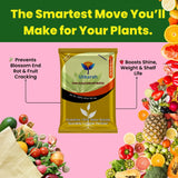 Calcium nitrate fertilizer infographic for plant growth and yield improvement
