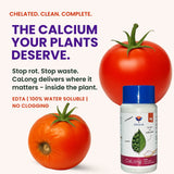 Calcium - 9% EDTA Chelated Micronutrient, 100% Water Soluble Fertilizers for Plants, Enhances Shelf Life of Fruits, Corrects & Prevents Calcium Deficiency | CaLong - Utkarsh Agrochem Pvt ltd. 
