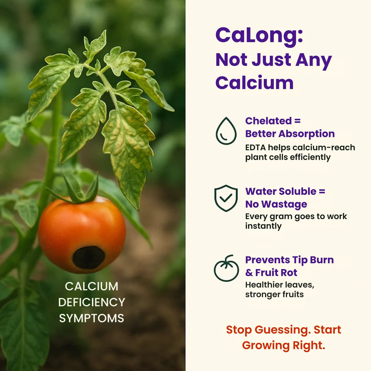 Calcium - 9% EDTA Chelated Micronutrient, 100% Water Soluble Fertilizers for Plants, Enhances Shelf Life of Fruits, Corrects & Prevents Calcium Deficiency | CaLong - Utkarsh Agrochem Pvt ltd. 