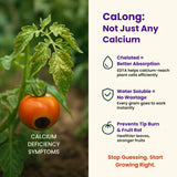 Calcium - 9% EDTA Chelated Micronutrient, 100% Water Soluble Fertilizers for Plants, Enhances Shelf Life of Fruits, Corrects & Prevents Calcium Deficiency | CaLong - Utkarsh Agrochem Pvt ltd. 