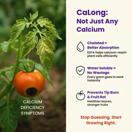 Calcium - 9% EDTA Chelated Micronutrient, 100% Water Soluble Fertilizers for Plants, Enhances Shelf Life of Fruits, Corrects & Prevents Calcium Deficiency | CaLong - Utkarsh Agrochem Pvt ltd. 