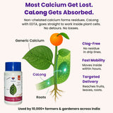 Calcium - 9% EDTA Chelated Micronutrient, 100% Water Soluble Fertilizers for Plants, Enhances Shelf Life of Fruits, Corrects & Prevents Calcium Deficiency | CaLong - Utkarsh Agrochem Pvt ltd. 