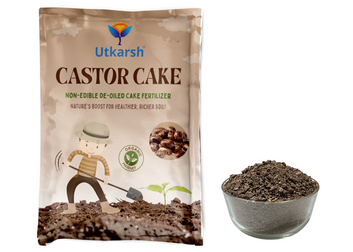 Castor Cake