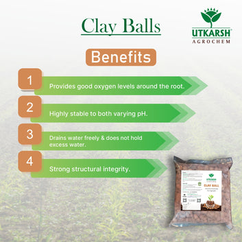 Clay Balls 3 litres Hydrotons Lightweight Expanded Clay Aggregate (LECA) Essential for Hydroponics, Aeroponics, Landscaping & Aquaponics size 15 – 30 mm