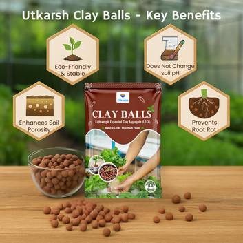 LECA Clay Balls Hydrotons, Lightweight Expanded Clay Aggregate, Essential for Hydroponics, Aeroponics, Landscaping & Aquaponics | Size: 8 - 15 mm