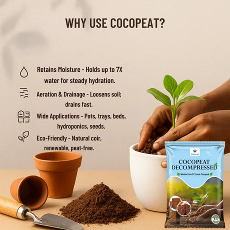 Decompressed Washed Cocopeat Powder for Gardening and Hydroponics, Low EC/TDS, Media & Fertilizers For Hydroponics - Utkarsh Agrochem Pvt ltd. 