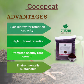 Cocopeat Powder Washed (for Gardening and Hydroponics) Media & Fertilizers For Hydroponics