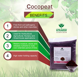 Cocopeat Powder Washed (Gardening and Hydroponics)