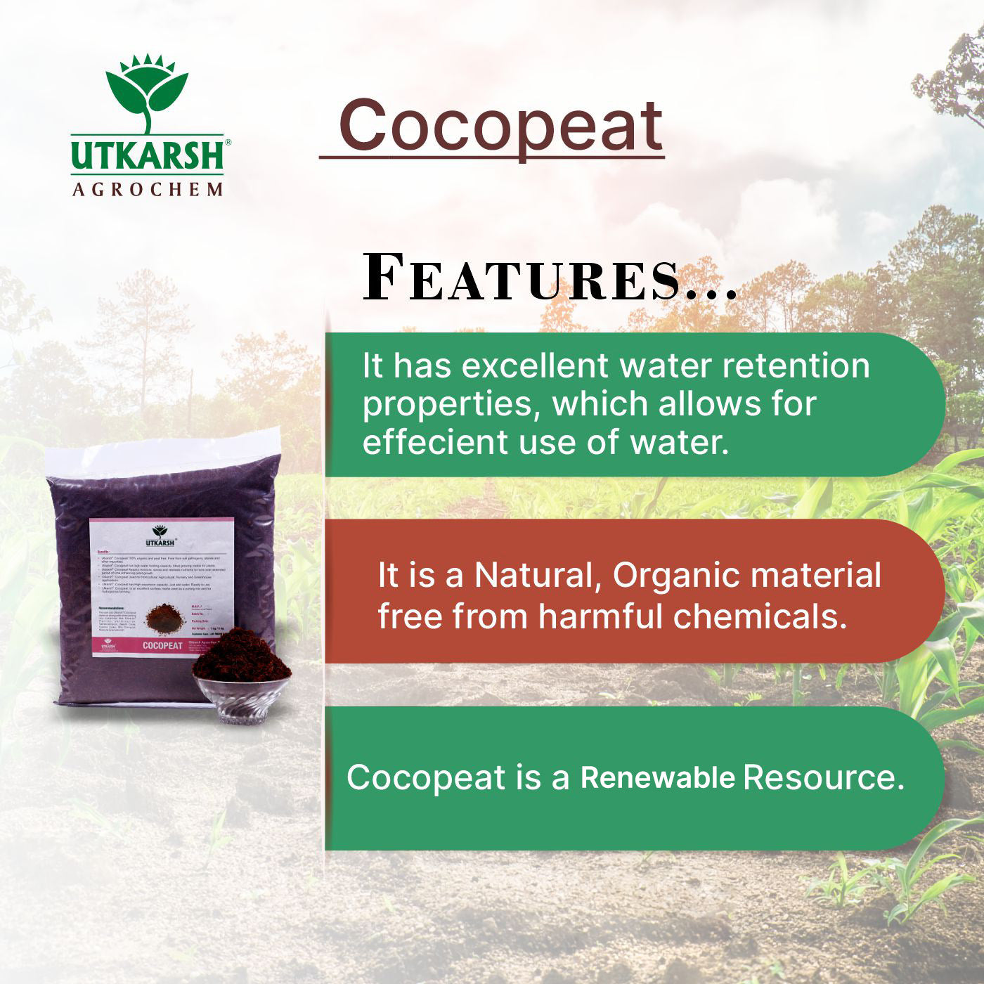 Cocopeat Powder Washed For Gardening And Hydroponics Media Fertili