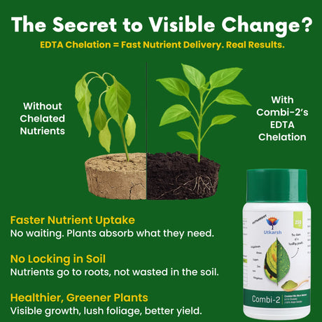 Combi - 2 (EDTA Chelated Fertilizers, Mix Micronutrient) Prevents Mix Crop Deficiencies, Keeps Plants/Home Garden Healthy, Improves Crop Yield & Quality - 25 Kg Pack - Utkarsh Agrochem Pvt ltd. 