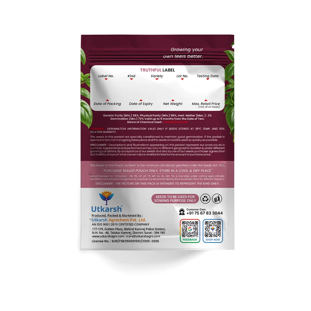 Herb Seeds Combo Pack of 8 | 950+ Seeds | Rosemary, Mint, Lavender, Tulsi, Red Basil, Parsley, Celery & Lettuce | High Germination | Easy to Grow at Home