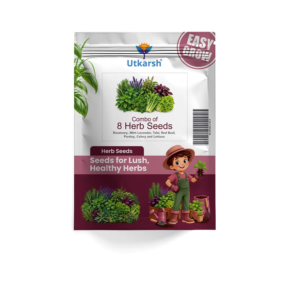 Herb Seeds Combo Pack of 8 | 950+ Seeds | Rosemary, Mint, Lavender, Tulsi, Red Basil, Parsley, Celery & Lettuce | High Germination | Easy to Grow at Home