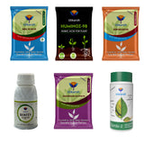 Utkarsh Complete Care Kit All-in-One Plant Nutrition Kit - Utkarsh Agrochem Pvt ltd. 